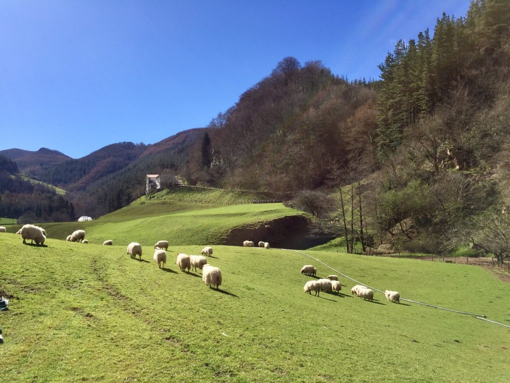 Basque Colours San Sebastian Guides | THE TRUE COLOURS OF THE BASQUE COUNTRY
